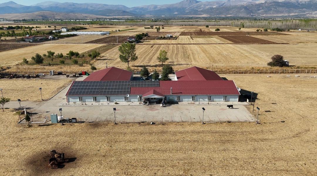 Türkiye’de bir ilk: 11 yılda 800 bağımlı genç kurtuldu! Osmanlı dan kalma yöntemle uyuşturucu ile mücadele: "18 yılın izlerini 24 günde temizliyoruz"   5