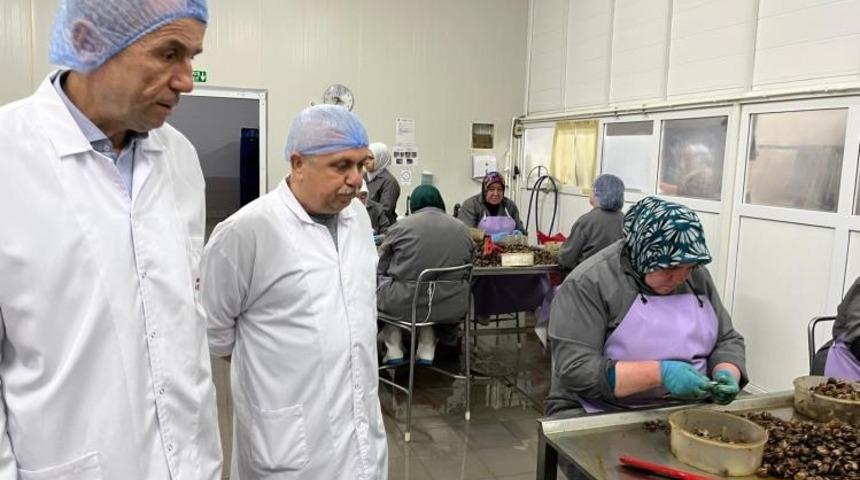 Bilecik'te kırsal kalkınma yatırımlarına destek sürüyor