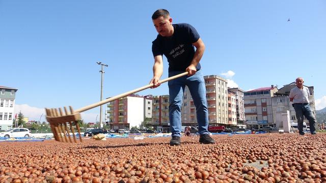 Kamyonetini 1 ton fındık karşılığında sattı
