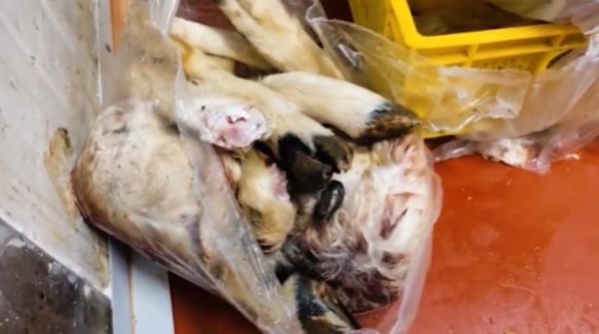 Tarım ve Orman Bakanlığı: "Uygunsuzluk tespit edilen bin 316 kilogram ürün imha edildi"