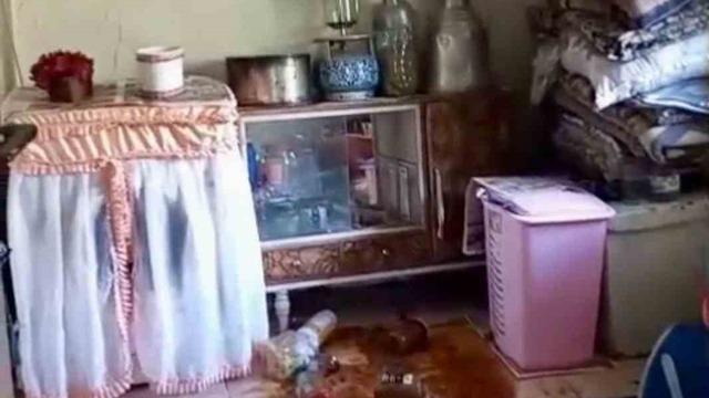 Ayılar yerleşim alanlarına indi, yöre halkı endişeli