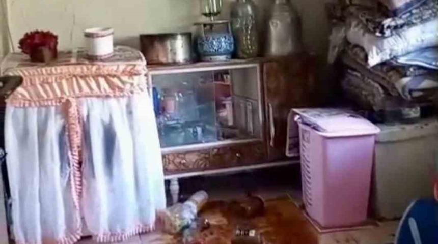 Ayılar yerleşim alanlarına indi, yöre halkı endişeli