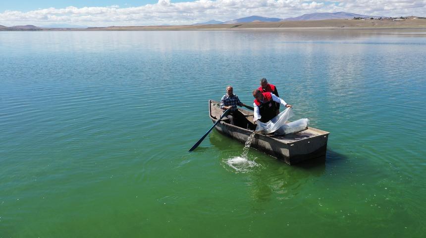Kars'ta göl ve göletlere 500 bin sazan yavrusu bırakıldı