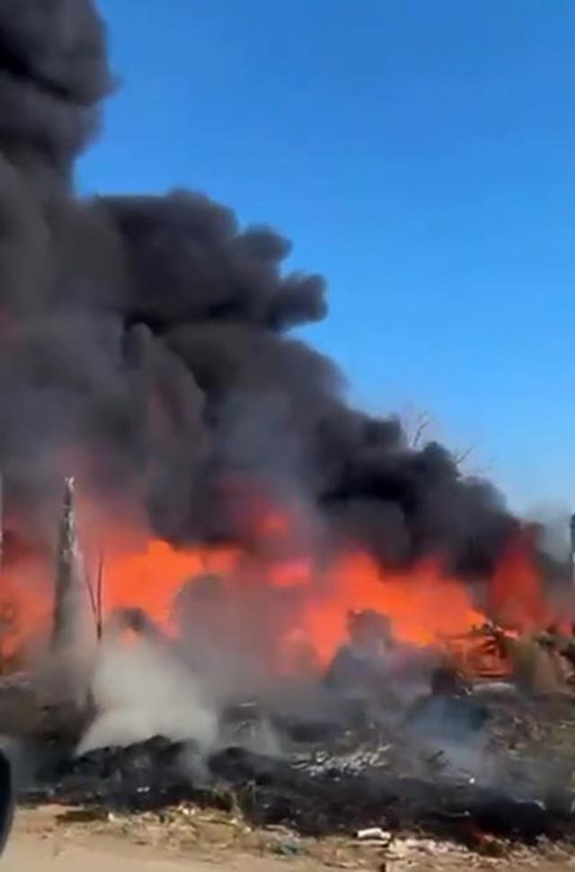 Ağaçlık alanda çıkan yangın kontrol altına alındı 2