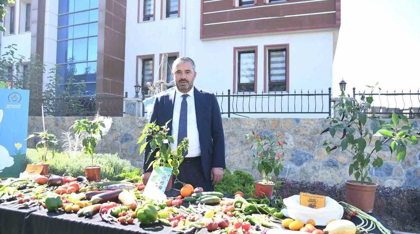 Pursaklar Belediyesi ‘Ata Tohumları’ndan elde ettiği sebzelerin hasadını yaptı