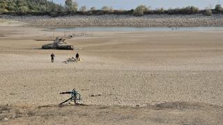 Mudanya'da korkutan görüntü! Balık ölümleri artıyor