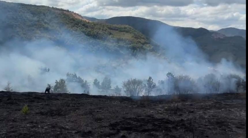 Fındık bahçesinde çıkan yangın, ormana sıçramadan kontrol altına alındı