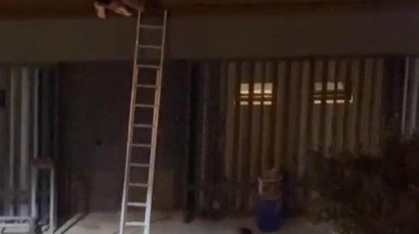 Konseri izlemek için çıktığı çatıdan atıldı, savcılık soruşturma başlattı