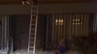 Konseri izlemek için çıktığı çatıdan atıldı, savcılık soruşturma başlattı