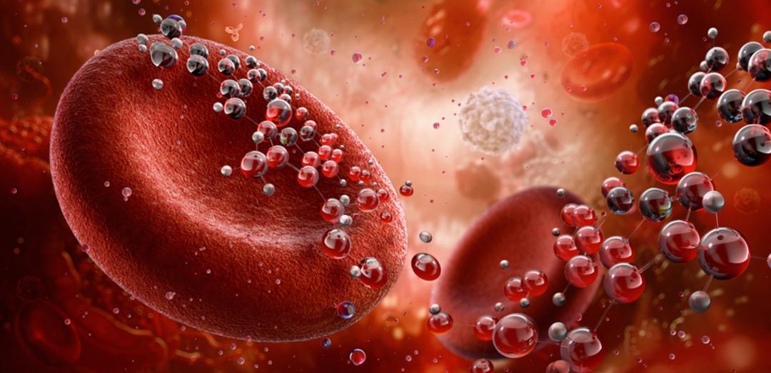 Sessiz katil:  Öpücük böceği  alarmı verildi! Ölümcül parazit tehlikesi hızla yayılıyor! 1