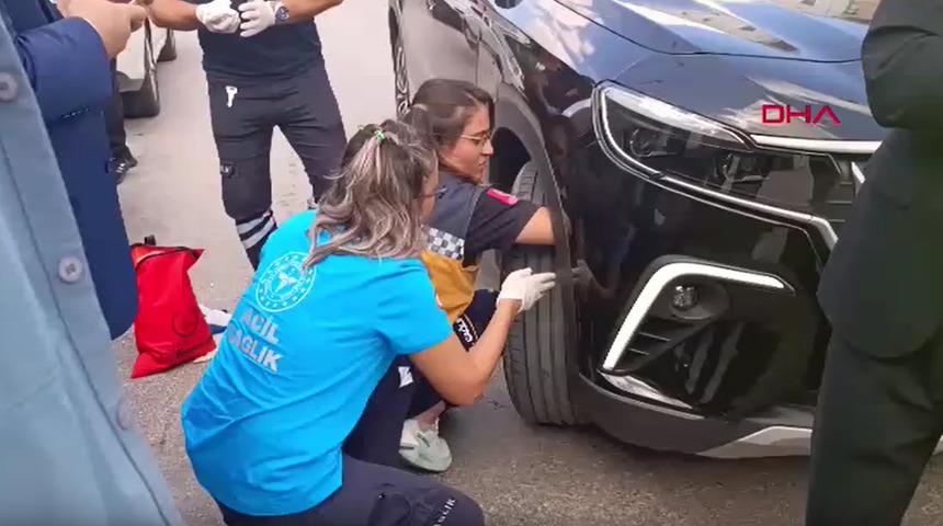 Bakan konvoyundaki araca giren yavru kediyi 112 ekipleri kurtardı