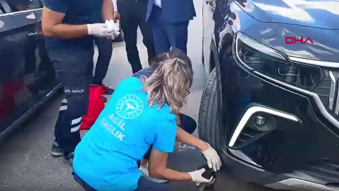 Bakan konvoyundaki araca giren yavru kediyi 112 ekipleri kurtardı 1