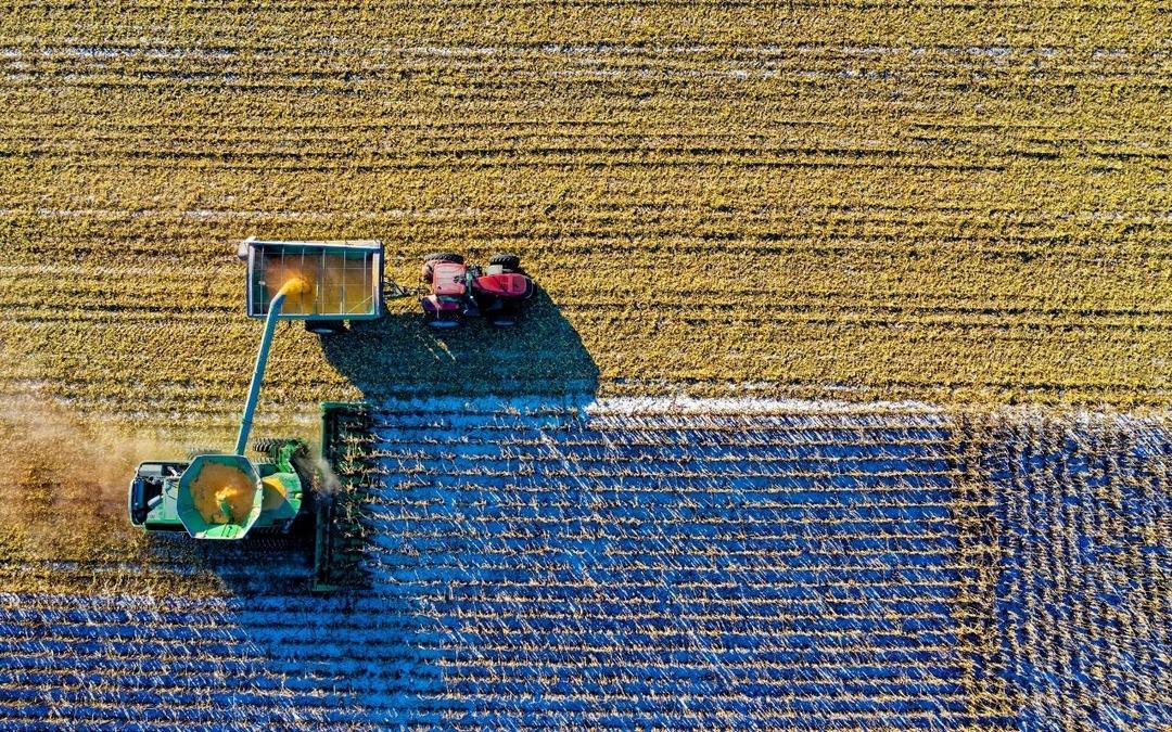 Resmi Gazete’de yayımlandı: Zirai dondan etkilenen çiftçilere tazminat ödenecek 1