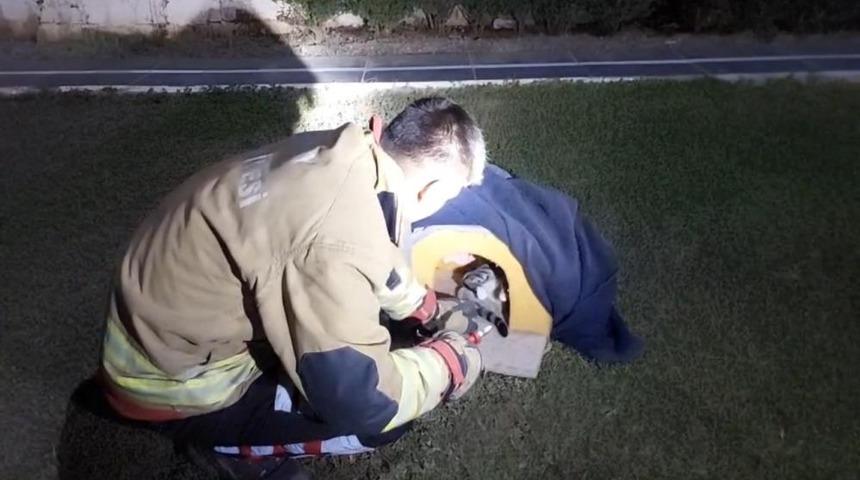 Balık misinasına dolanarak yaralanan kedinin imdadına itfaiye yetişti