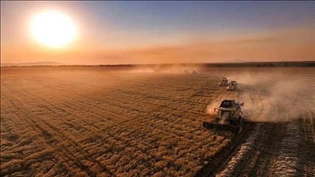 65 ilde ödeme yapılacak! Çok sayıda kişi etkilenmişti... İşte yararlanacaklar