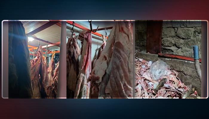 Tarım Bakanlığı duyurdu! Ahırda bulundu, vatandaşlara yedirilecekti: Mide bulandıran görüntü