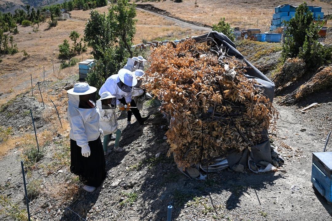 Siparişlere yetişemiyorlar  Talep çok fazla  Şehir hayatını bırakıp orada başladılar 10