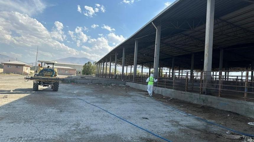 Hayvan pazarında dezenfeksiyon çalışması yapıldı