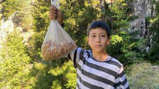 Toplayıp satıyor! Kilosu 5 bin TL 'Maden buldum'