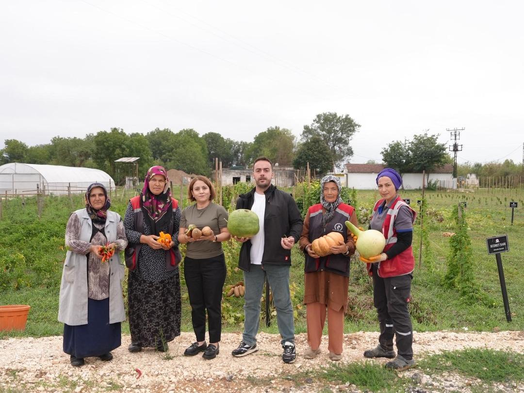İlk hasat gerçekleşti: Ata tohumu yetiştiriciliği meyvelerini verdi! Tarımsal miras korunacak... 7