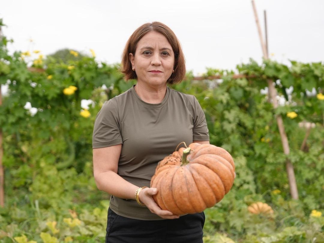 İlk hasat gerçekleşti: Ata tohumu yetiştiriciliği meyvelerini verdi! Tarımsal miras korunacak... 5