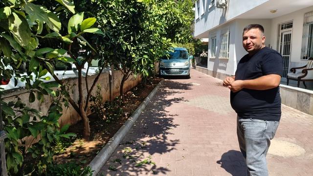 Antalya'da portakal koparma kavgası