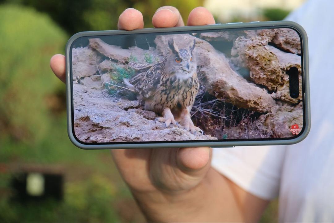 Türünün en büyüğü için defalarca gittiler! Sonunda görüldü, hayran bıraktı 1