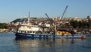 'Muhtemelen 2 ay sonra terk edecek' Erken gelmişti, endişe başladı