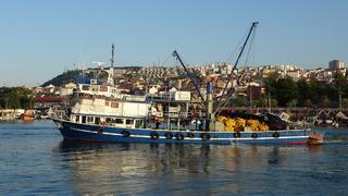 'Muhtemelen 2 ay sonra terk edecek' Erken gelmişti, endişe başladı