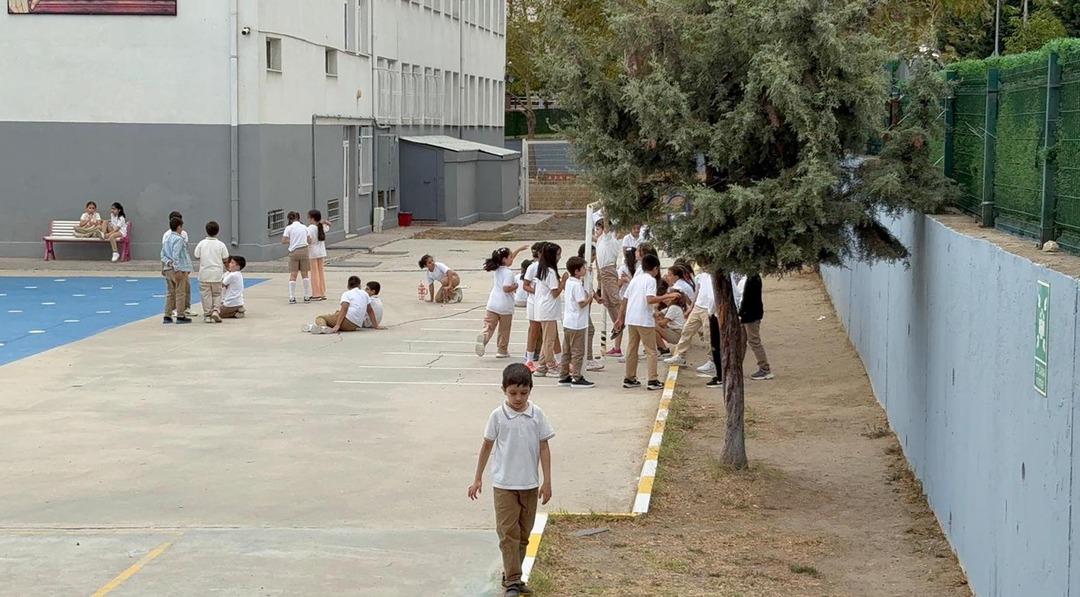 Mevsim geçişlerinde dikkat! Uzmanlar uyardı: "Önlem alınmazsa vakalarda artış olabilir" 1