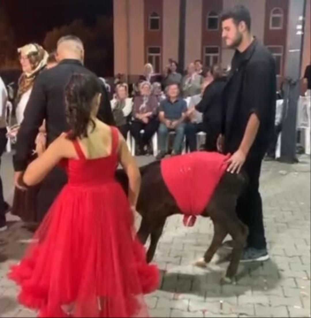 Yer: Muğla! Damadın eniştesinin düğün hediyesini gören şaştı kaldı 1