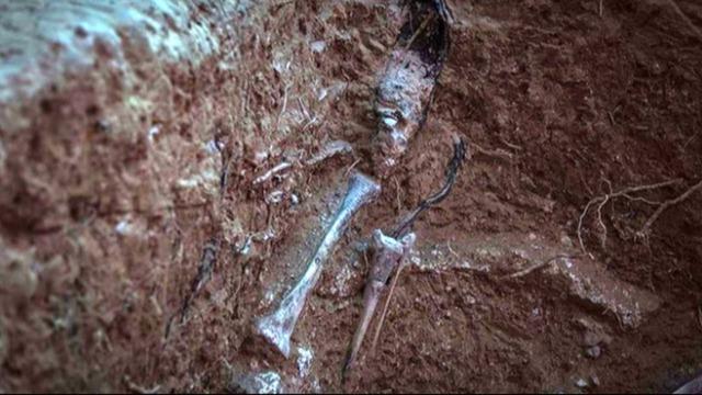 Kan donduran olay! Gizli mezarlarda 22 ceset bulundu