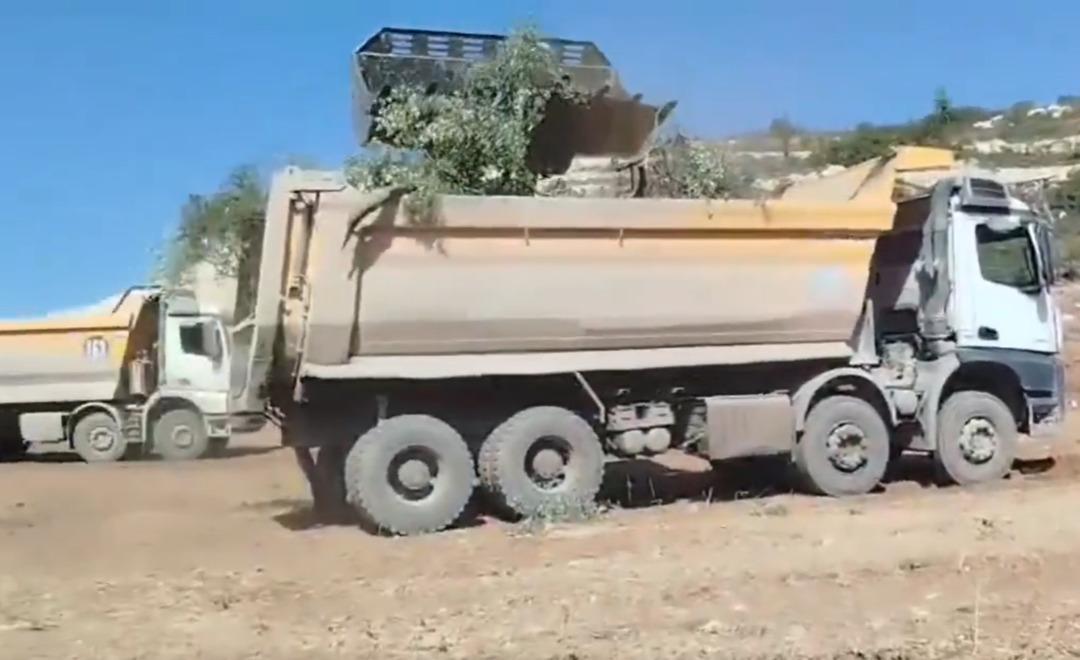 Akbelen Ormanı’nda, asırlık zeytin ağaçları kepçelerle söküldü! Köylüler gözyaşlarıyla tepki gösterdi 1