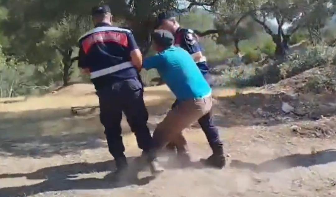 Akbelen Ormanı’nda, asırlık zeytin ağaçları kepçelerle söküldü! Köylüler gözyaşlarıyla tepki gösterdi 4