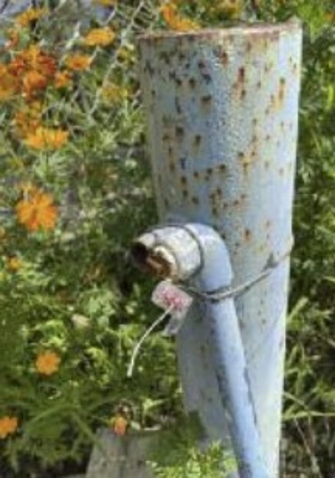 Sokak çeşmesinden su aldın cezası: 6 bin 804 lira! Maaş hesabına bakınca bir kez daha şaşırdı 2