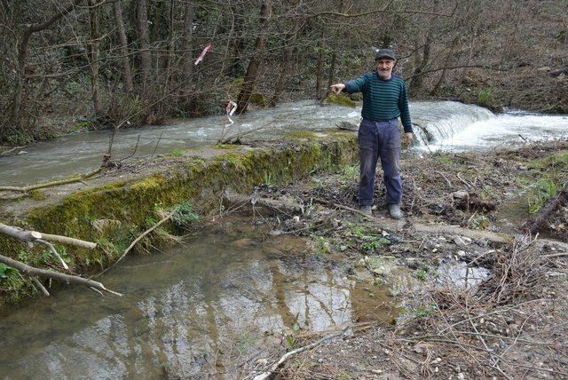 Emekli olduktan sonra örnek bahçe kurup hayalini gerçekleştirdi