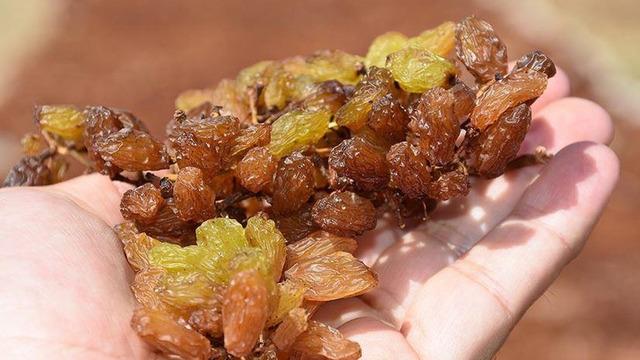 TMO çekirdeksiz kuru üzüm alım fiyatı belli oldu