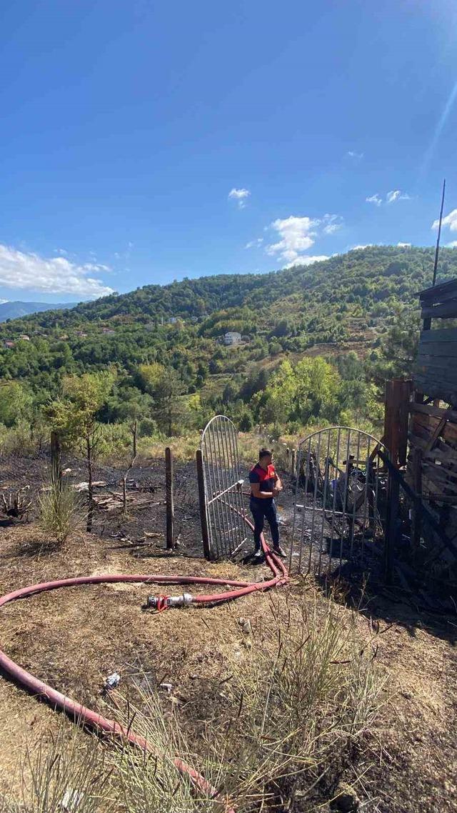 Türkeli’de anız yangını eve sıçradı 3