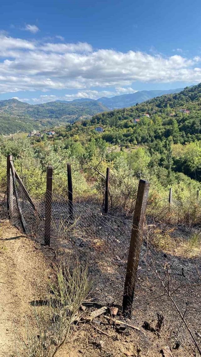 Türkeli’de anız yangını eve sıçradı 2