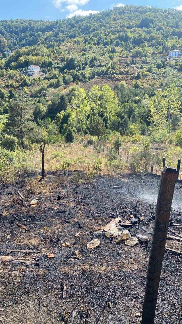 Türkeli’de anız yangını eve sıçradı 1