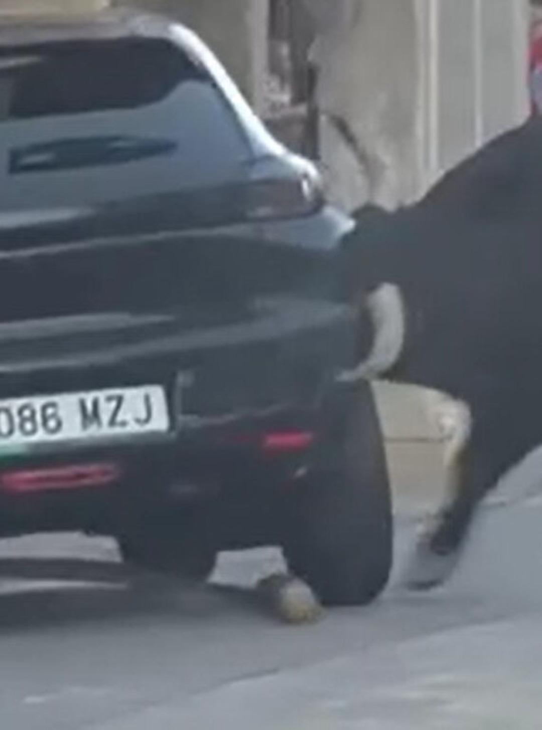 Festivalden kaçtı, turistin aracını paramparça etti 1