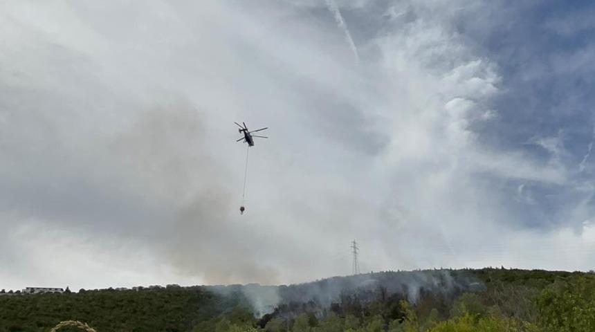Kocaeli'deki orman yangını 1 saatte kontrol altına alındı