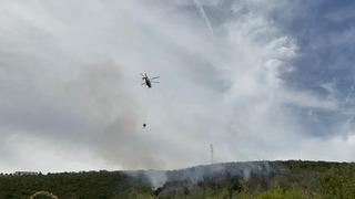 Kocaeli'deki orman yangını 1 saatte kontrol altına alındı