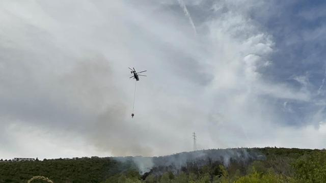 Kocaeli'deki orman yangını 1 saatte kontrol altına alındı