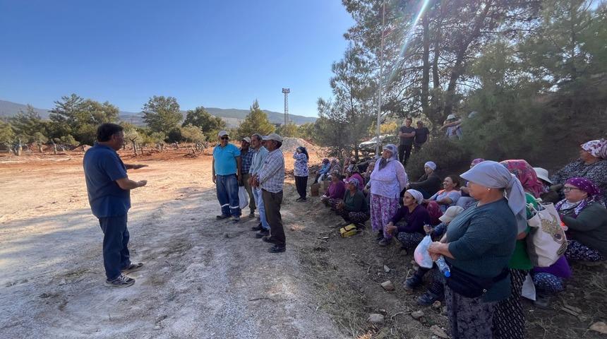 Bölge halkı taşınan zeytinleri yerinde gördü