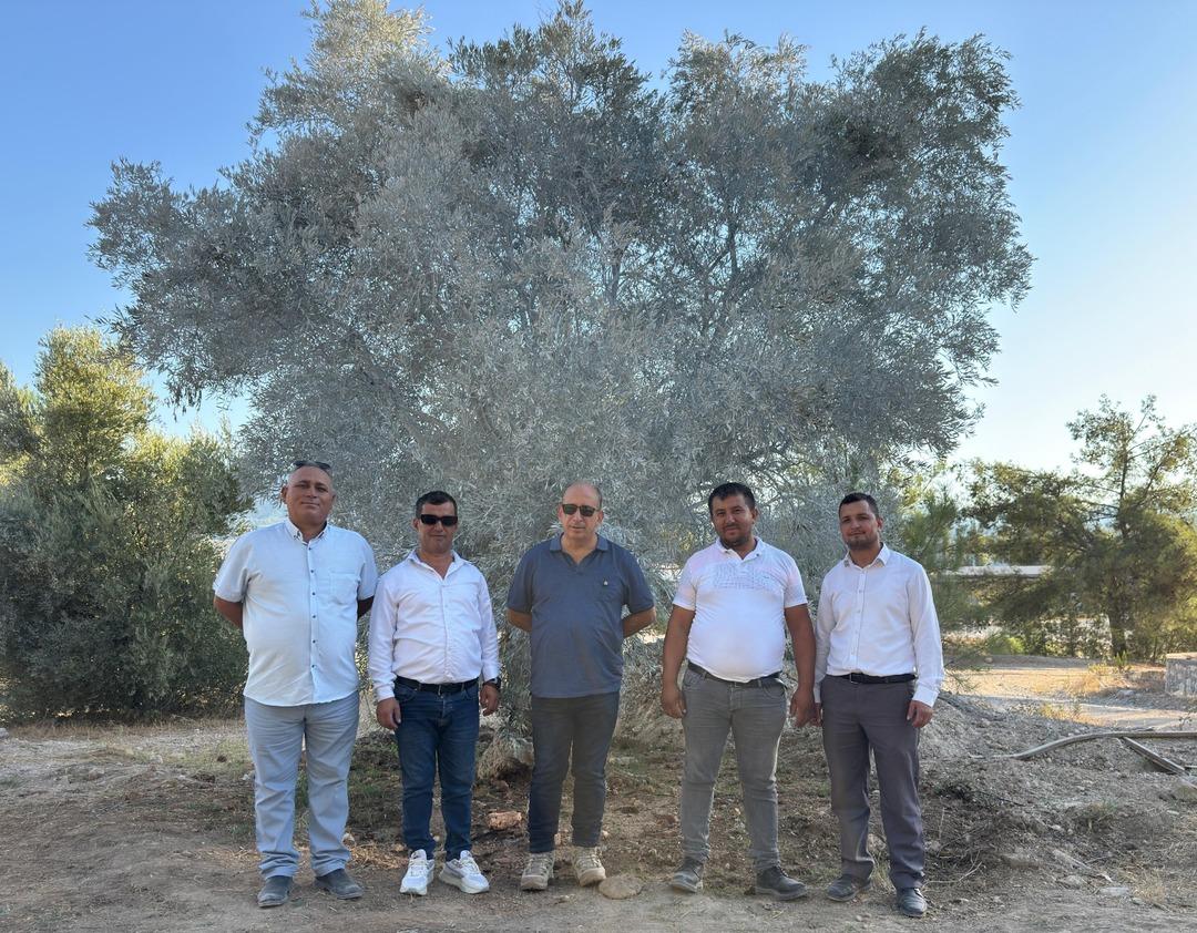 Bölge halkı taşınan zeytinleri yerinde gördü 1