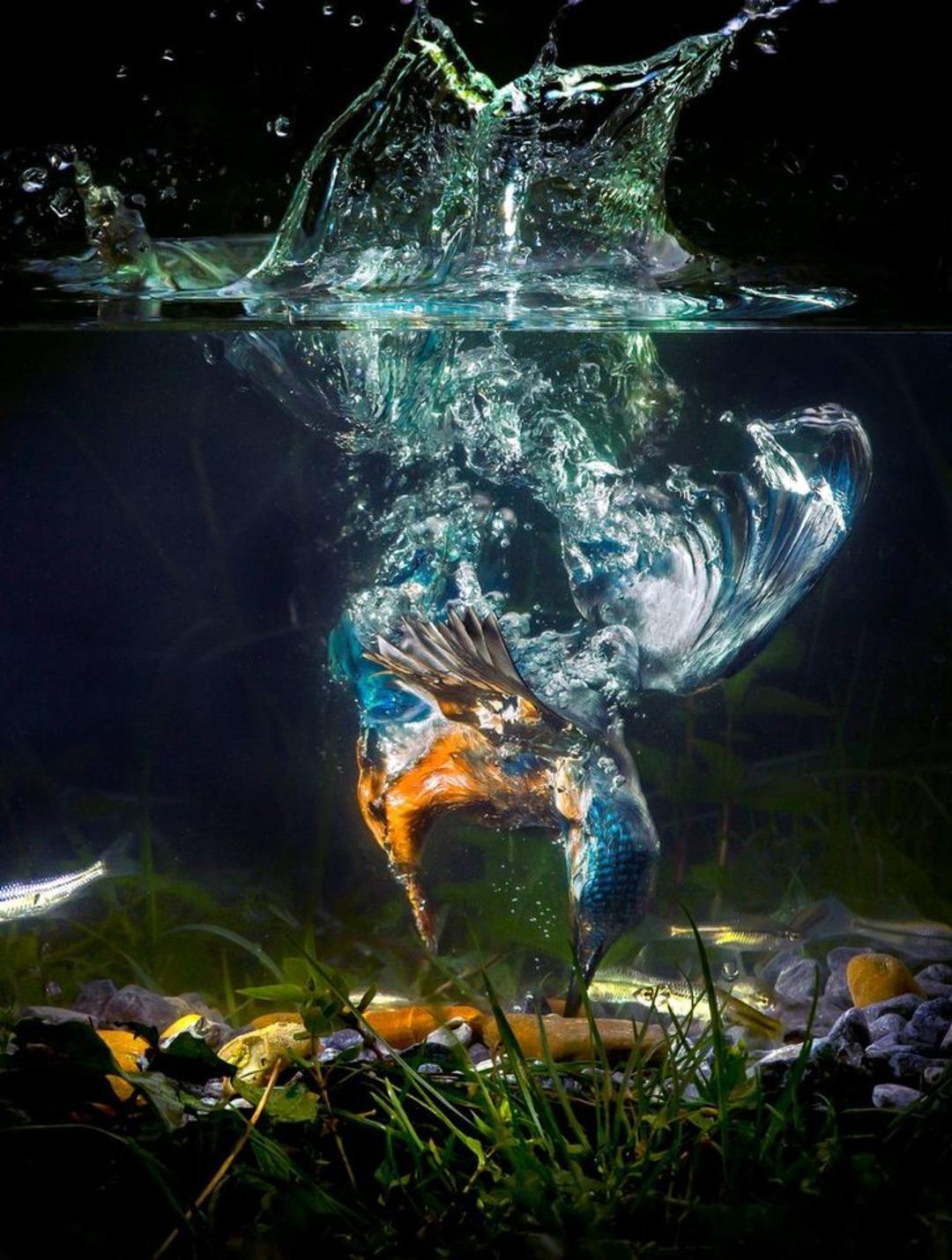 Sualtındaki gizemli d&uuml;nya a&ccedil;ığa &ccedil;ıkıyor