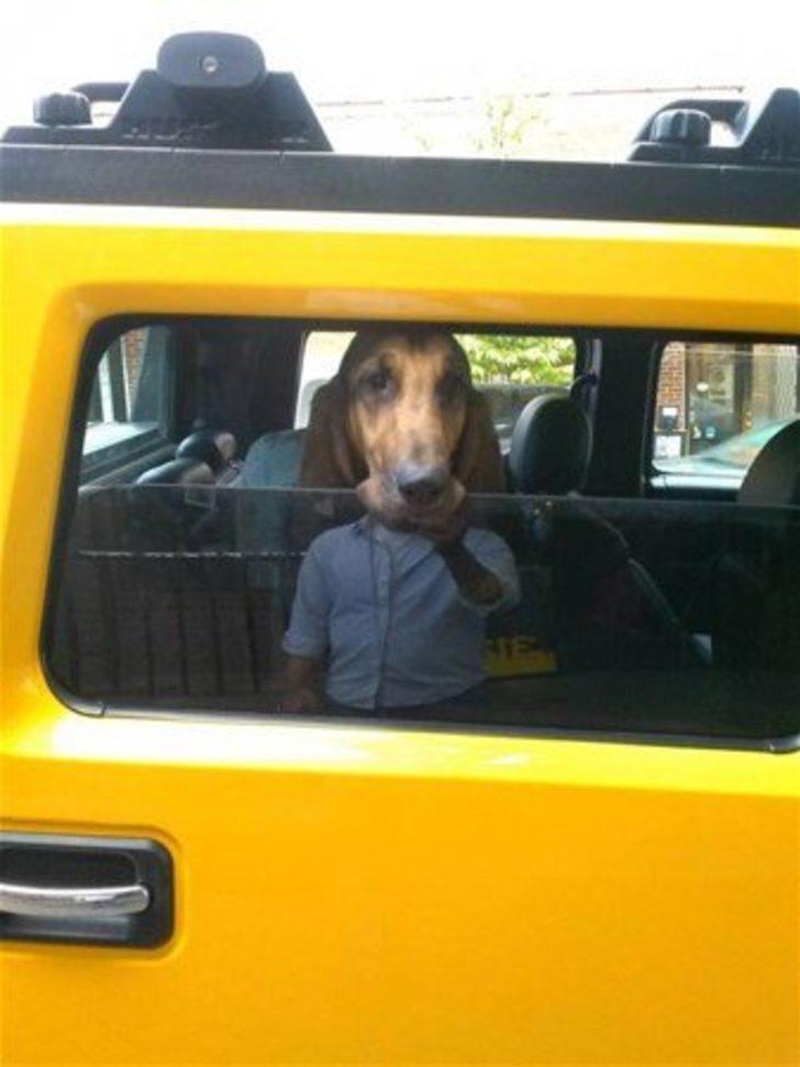 Paylaştığı fotoğraf başını yaktı G2