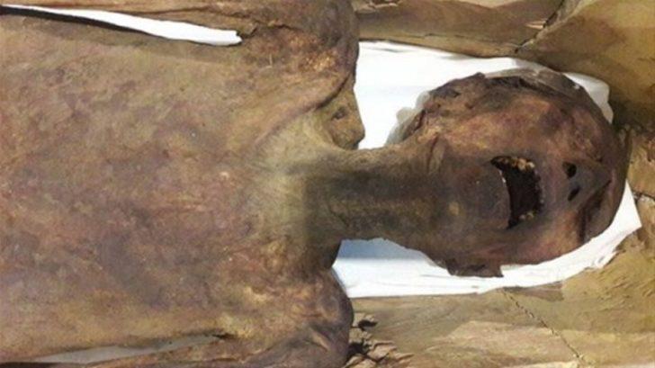 3000 YILLIK MUCİZE (FİRAVUNUN CESEDİ) RAMSES VİDEO 3000 YILLIK MUCİZE (FİRAVUNUN CESEDİ) RAMSES VİDEO