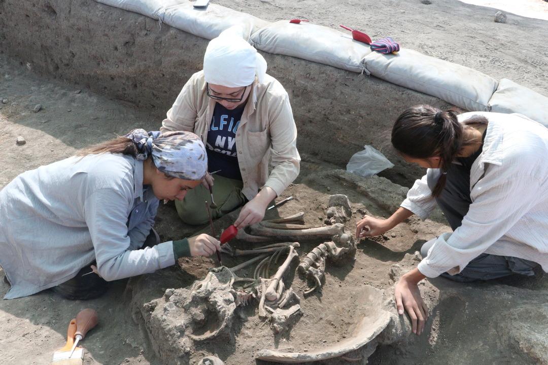 Heyecanlandıran keşif! 5 bin yıl öncesine ait... Ölüm nedenleri bile bulundu 3